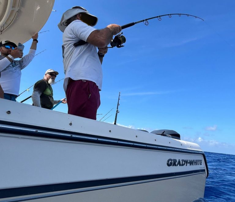 Boat Rentals & Fishing Charters