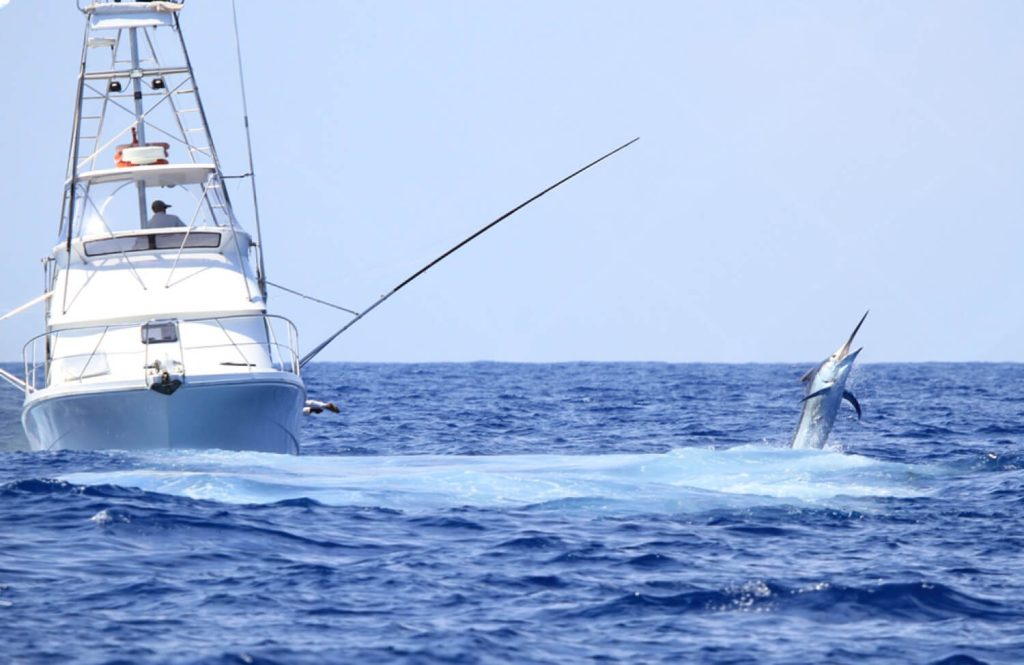 The Best Fishing Charters in the Florida Keys (Island-by-Island Guide)